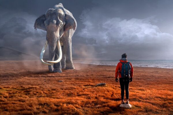 Fantasy, Elephant, Man image