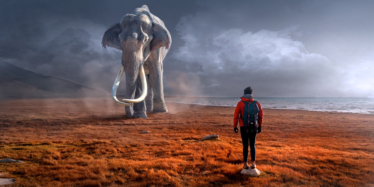 Fantasy, Elephant, Man image